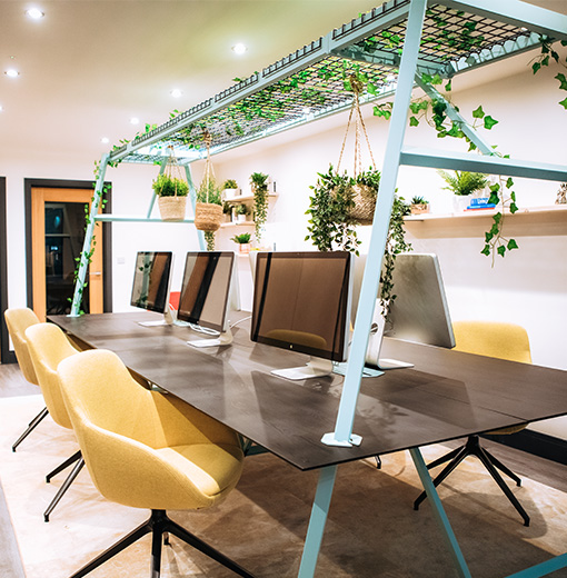 Yellow desk chairs around board table