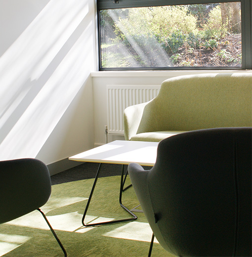 Green contemporary furniture